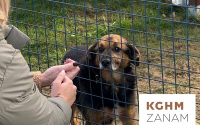 Pomagamy tym, którzy sami nie poproszą o pomoc